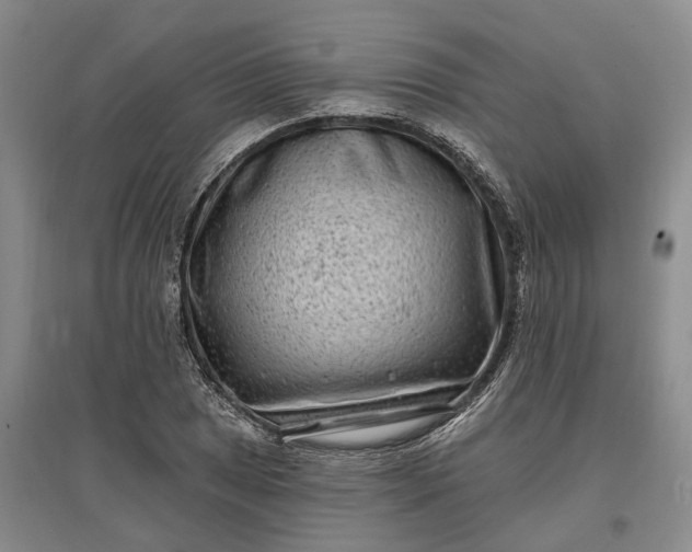 X0000097591025200803141850