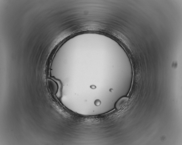 X0000097591026200803141850