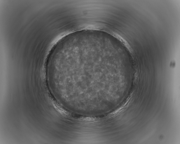 X0000097591027200803141850