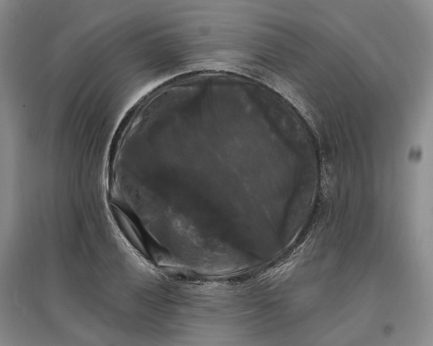 X0000097591028200803141850