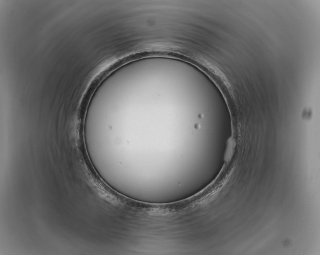 X0000097591029200803141850