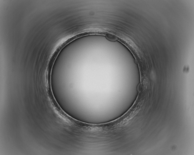 X0000097591030200803141850