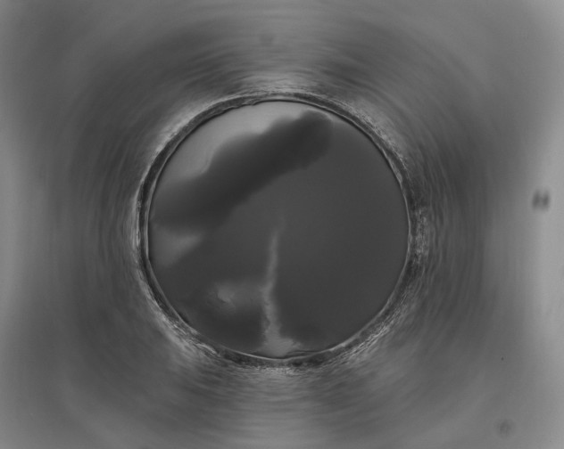 X0000097591031200803141850