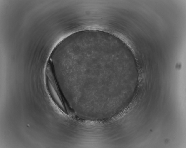 X0000097591032200803141850