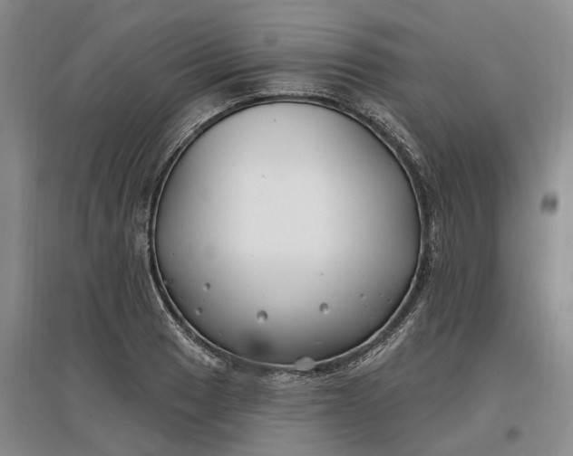 X0000097591033200803141850