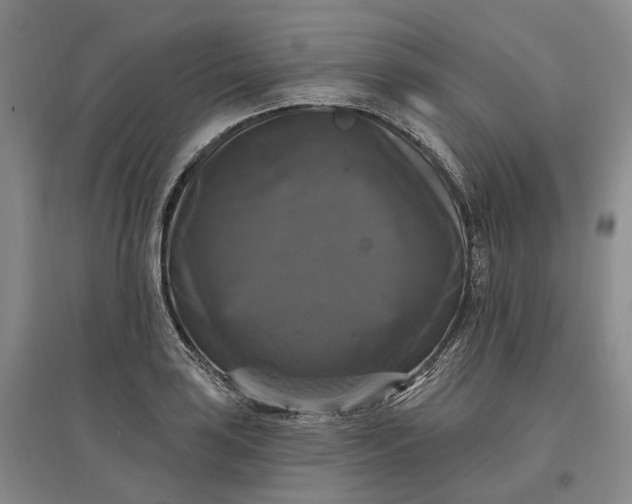 X0000097591035200803141850