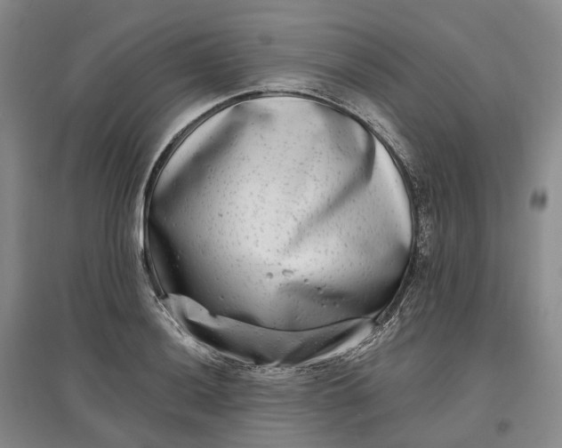 X0000097591036200803141850