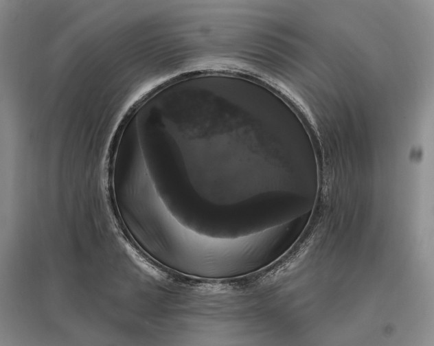 X0000097591037200803141850