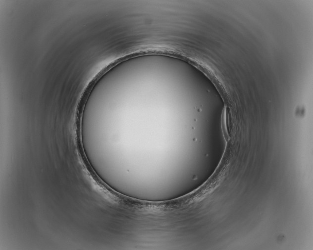 X0000097591038200803141850