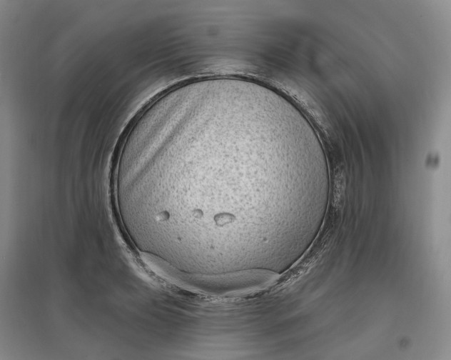 X0000097591039200803141850