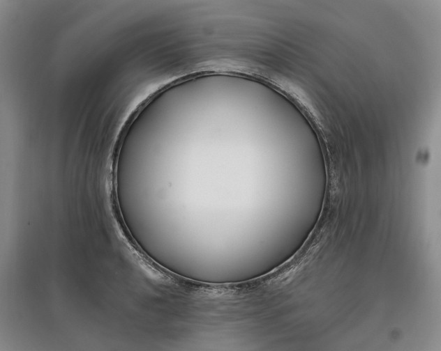 X0000097591040200803141850