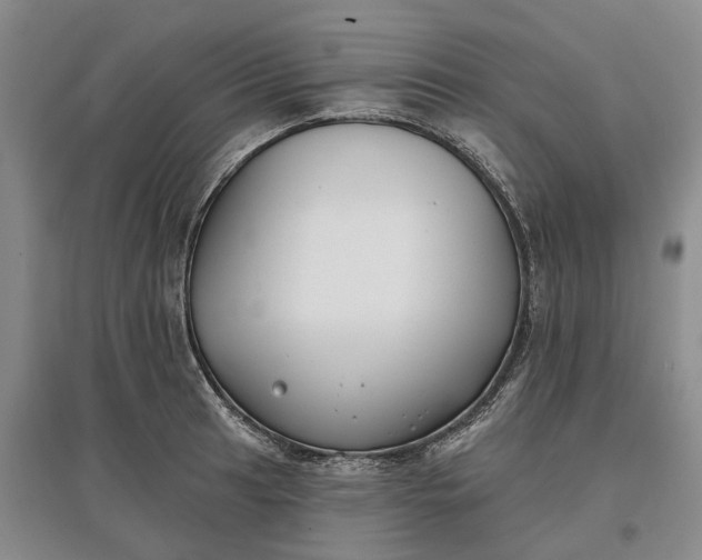 X0000097591041200803141850