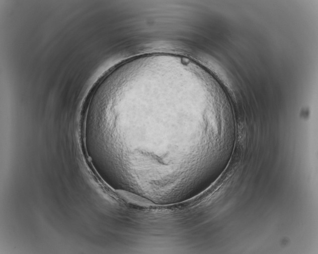 X0000097591043200803141850