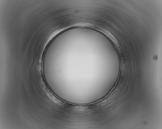 X0000097591044200803141850