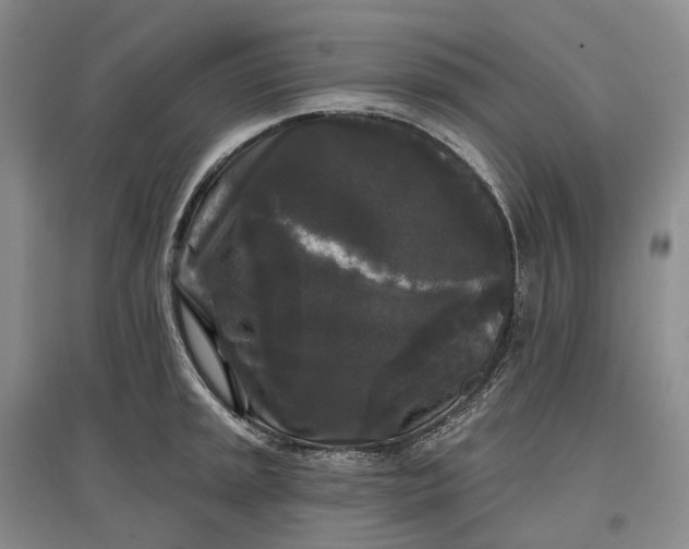 X0000097591045200803141850