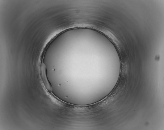 X0000097591046200803141850