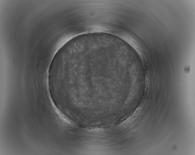 X0000097591047200803141850