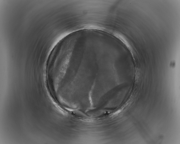 X0000097591048200803141850