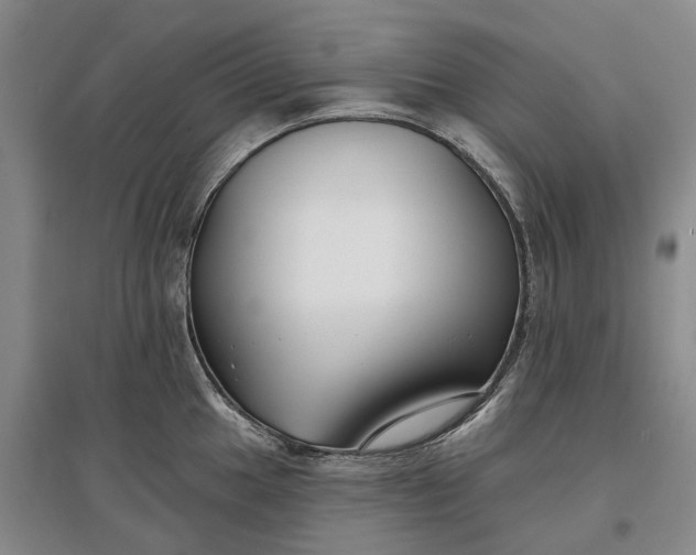 X0000097591049200803141850