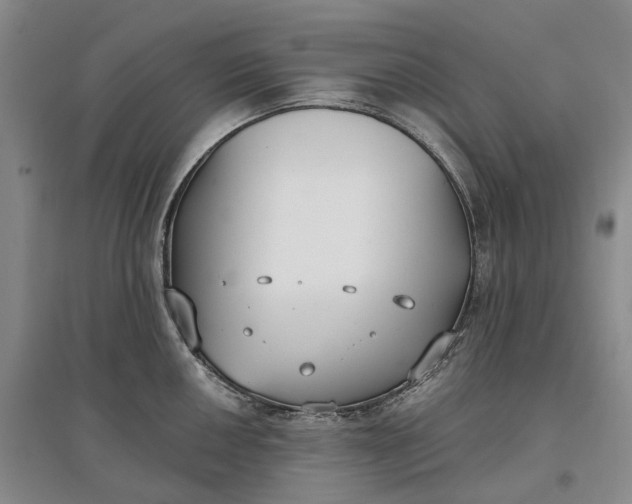 X0000097591050200803141850