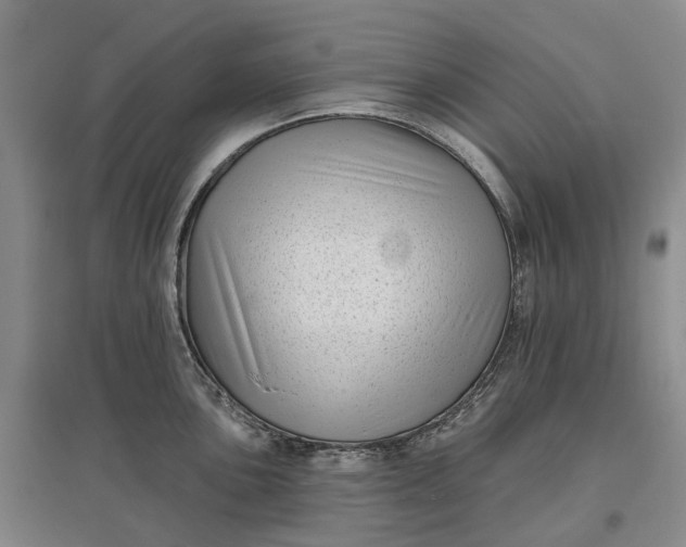 X0000097591051200803141850