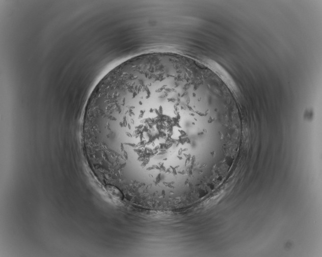 X0000097591052200803141850