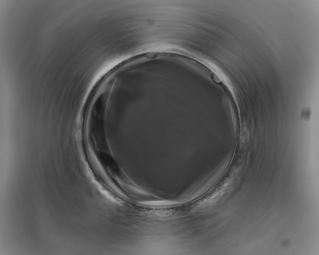 X0000097591053200803141850