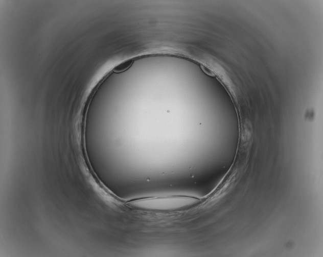 X0000097591054200803141850