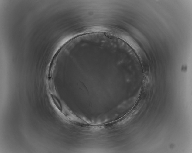 X0000097591055200803141850