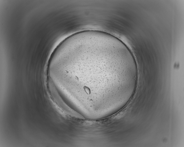 X0000097591056200803141850