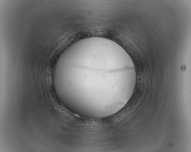 X0000097591058200803141850