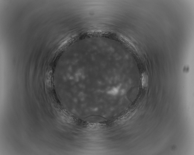 X0000097591059200803141850