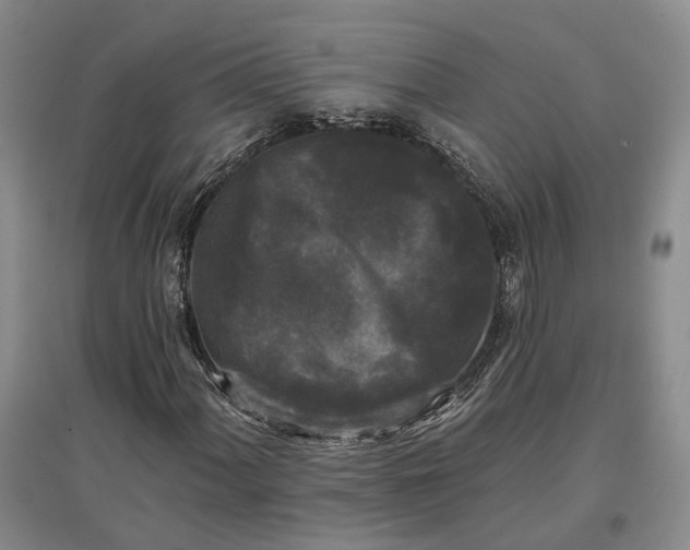 X0000097591060200803141850