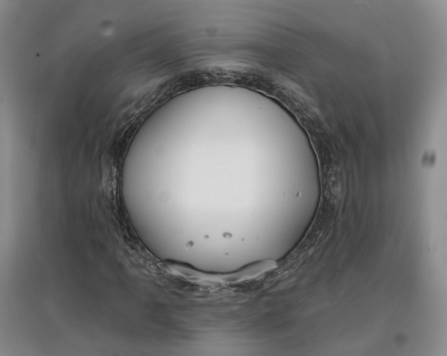 X0000097591061200803141850