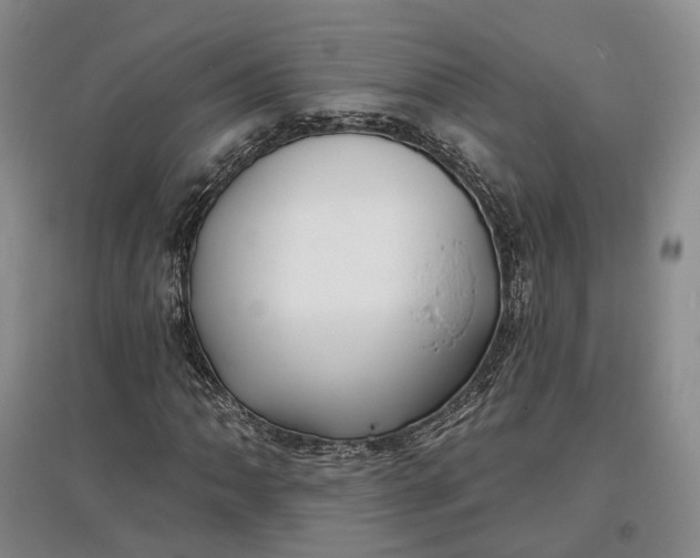 X0000097591062200803141850