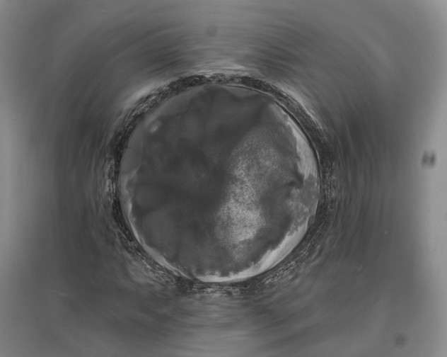 X0000097591063200803141850