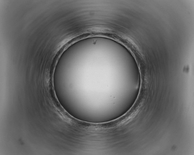 X0000097591065200803141850