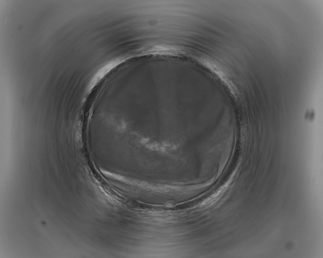 X0000097591066200803141850