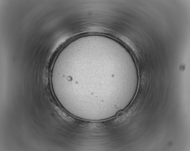 X0000097591067200803141850