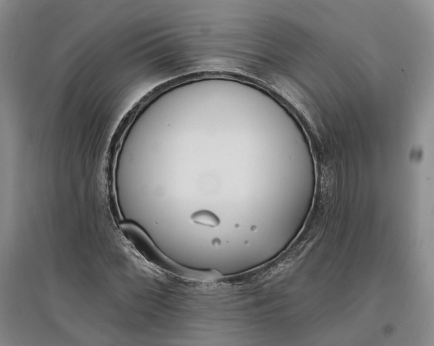 X0000097591068200803141850