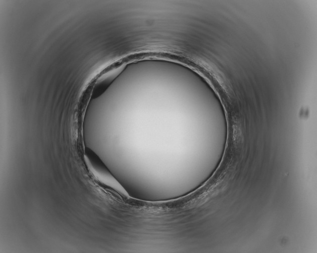 X0000097591069200803141850