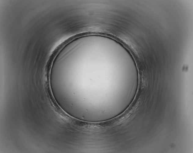 X0000097591070200803141850