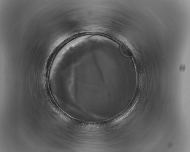 X0000097591071200803141850