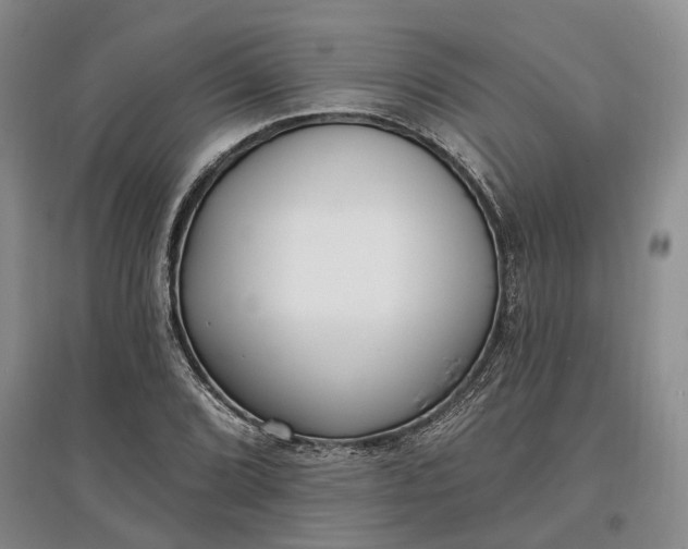 X0000097591072200803141850