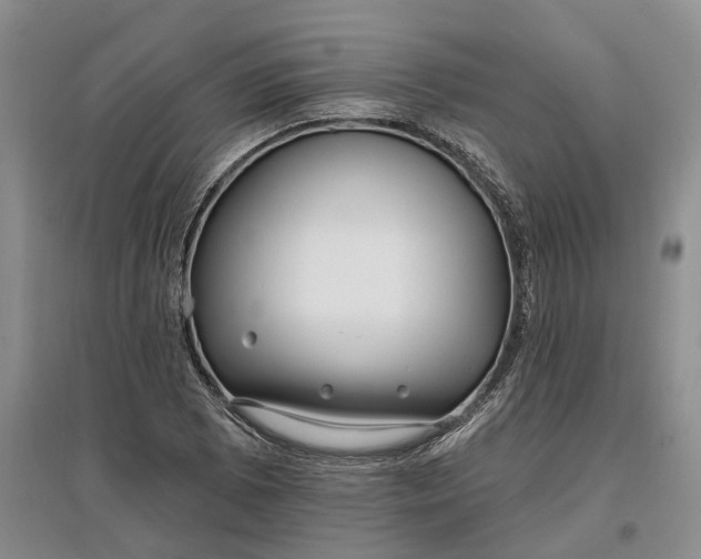 X0000097591073200803141850