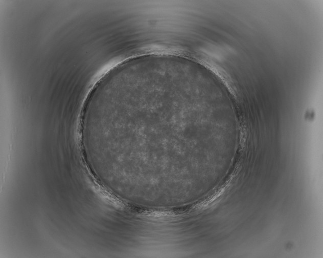 X0000097591074200803141850