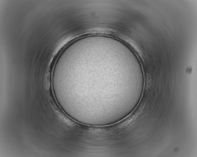 X0000097591075200803141850