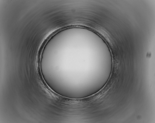 X0000097591076200803141850