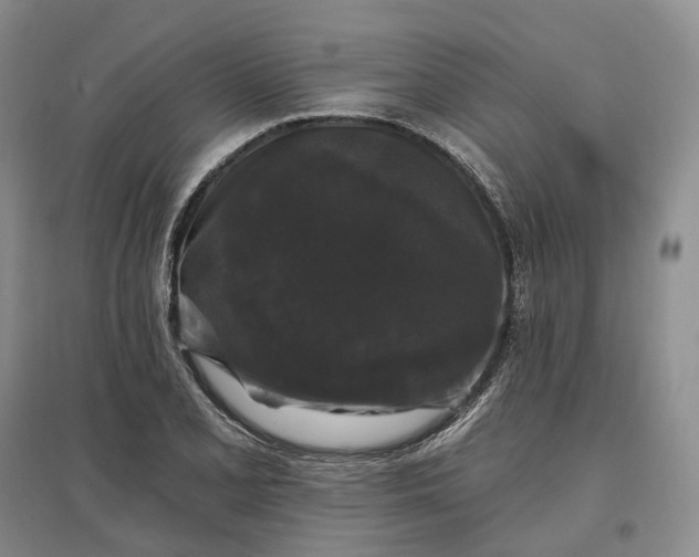 X0000097591077200803141850