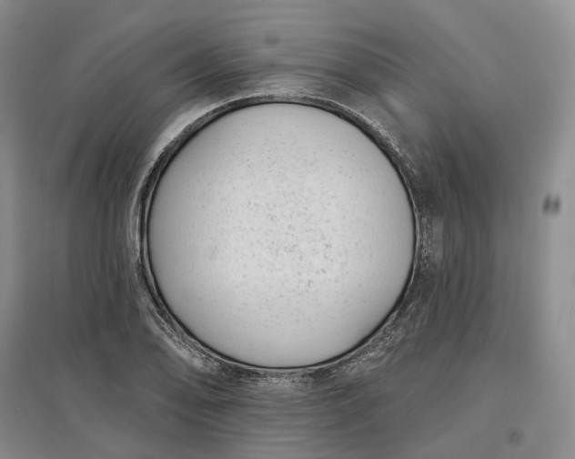 X0000097591078200803141850